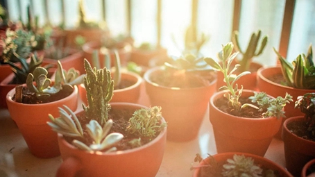 华为手机音量突然小了如何调整